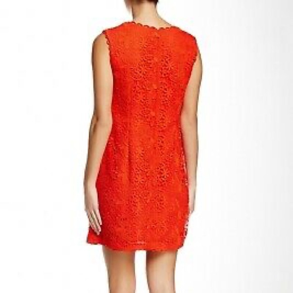 Cynthia Steffe Dress SZ 2 - Picture 2 of 7